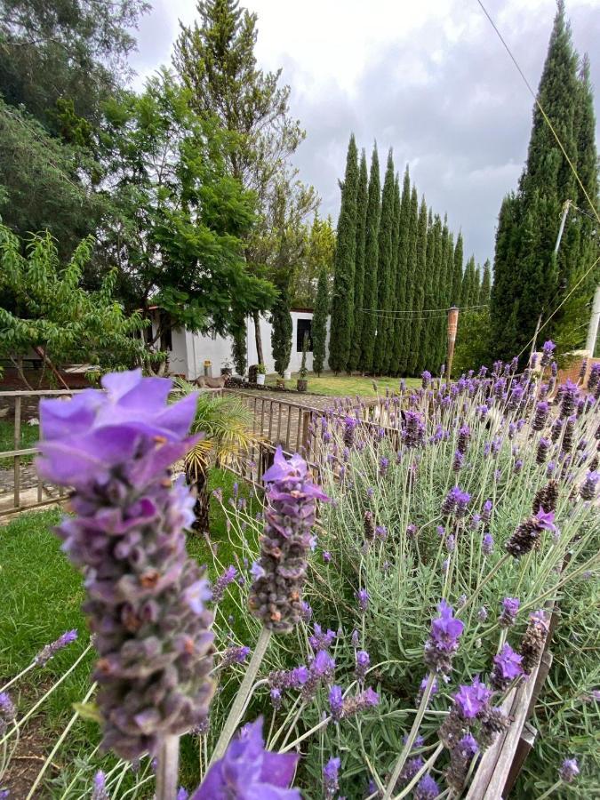 Hotel Boutique Calderon Huasca de Ocampo Esterno foto